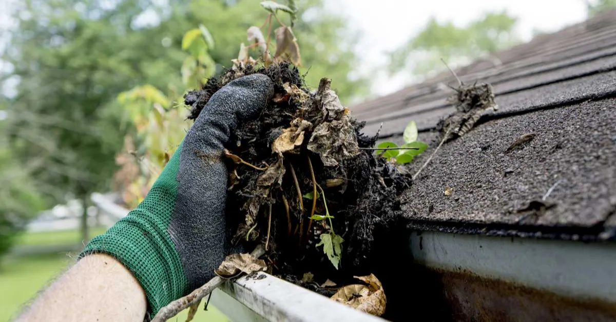 Damage caused by clogged gutters on a Metro Vancouver home